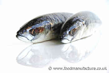 Sykes Seafood acquires The Big Prawn Co