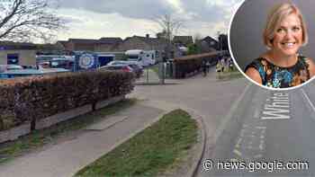 Norwich: White Woman Lane School could get safety fence - Norwich Evening News