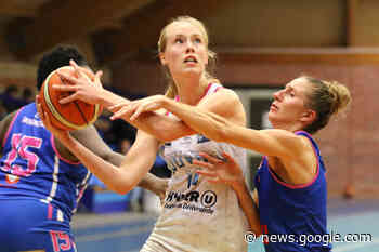 Basket. Douvres se relance contre Wasquehal, Mondeville surpris à ... - actu.fr