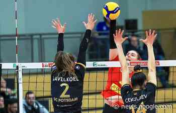 Deichstadtvolleys: In Neuwied geht es um die Wurst ... - NR-Kurier - Internetzeitung für den Kreis Neuwied