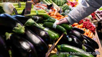 Inflation: Statistikamt verschiebt Publikation von Inflationsdaten – Daten für Euro-Raum sollen aber kommen