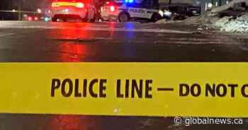 Driver arrested after crash in Brampton involving police cruiser