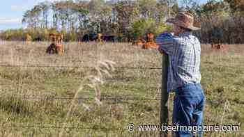 Creating moneymaker cow requires solid business model