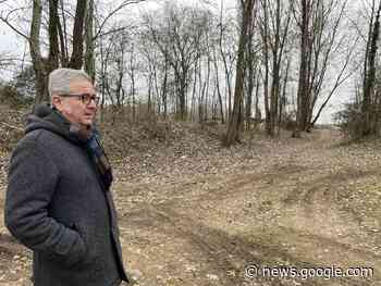 Po, il «polmone verde» della città - Prima Chivasso