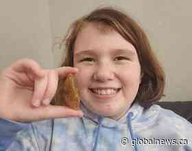 N.B. girl gets her ‘lucky rock’ back after it travels 11,000 miles on 4 flights