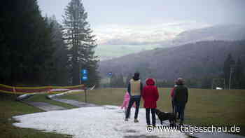 Vorläufige DWD-Bilanz: Jahresbeginn war wohl deutlich zu mild