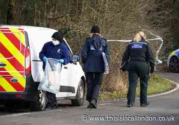 Caterham Gravelly Hill dog mauling victim named: Natasha Johnston