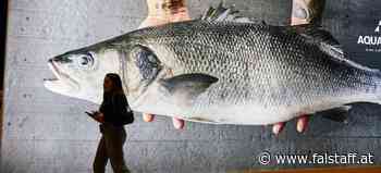 »Madrid Fusión« 2023: Innovationen aus der Spitzenküche