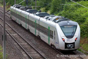 Etliche Züge zwischen Chemnitz und Dresden verspätet: Kind legte Äste auf die Gleise - TAG24