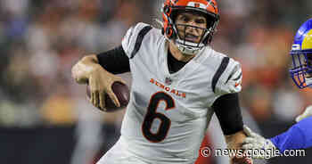 Cincinnati Bengals Make Surprising Move At Quarterback For AFC ... - msnNOW