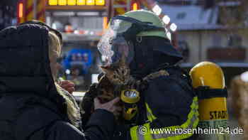 Heizraum in Traunreut steht in Flammen – Feuerwehr rettet Katze aus verrauchtem Gebäude