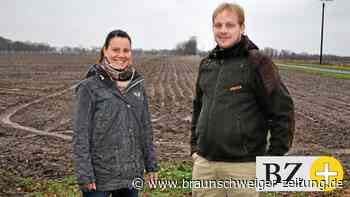 Landwirte aus Emmen beginnen im April mit Weinanbau