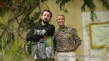 Fans ziehen Bilanz zu Dschungelcamp-Moderator Jan Köppens erster Staffel