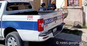 Hermosillo: Vecina es acusada de atropellar a un gato - EL IMPARCIAL Sonora