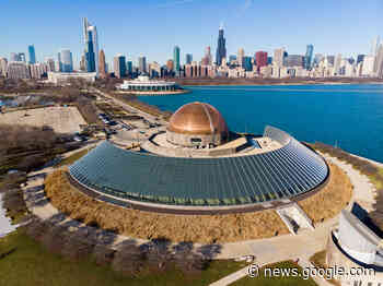 North American Copper in Architecture Awards - ArchDaily