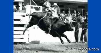 Hold on tight for the tale of Kenny Wilcox, Greenbrier's Bull Riding ... - Arkansas Times