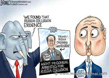 Schiffty Business