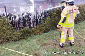 Zwei Mülltonnen und eine Hecke brennen in Albaxen
