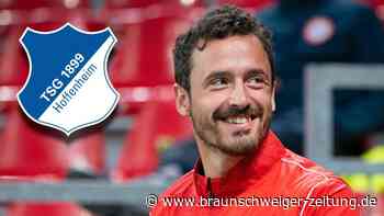 Hoffenheim holt Ex-Dortmunder Delaney