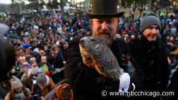 Groundhog's Day is Around the Corner. What Happens If the Groundhog Sees its Shadow?