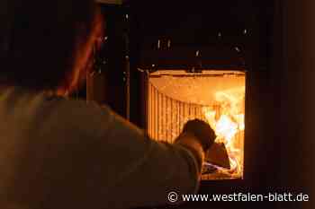 Löhne: Welche Kaminöfen müssen 2025 stillgelegt werden