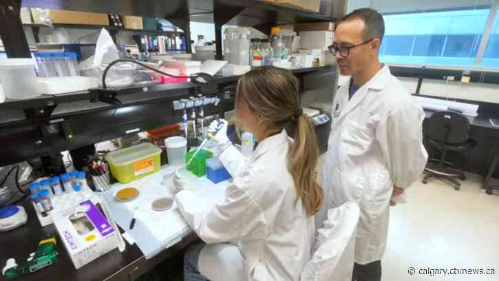 'Advanced medicines still can't treat these': Deadly fungal infections a concern post-COVID-19, influenza