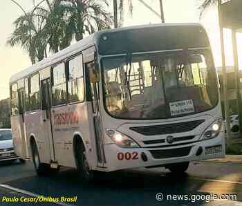 Birigui (SP) contrata empresa por 60 dias enquanto não conclui ... - Diário do Transporte