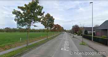 Bestuurder verliest controle over stuur en eindigt tegen boom - Het Laatste Nieuws