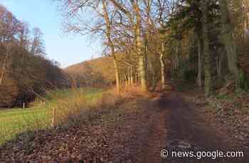 Naherholungsgebiet Muttental: Wandern in Witten ... - www.lokalkompass.de