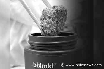 High praise for Kelowna cannabis brand