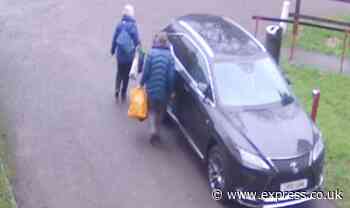 Moment fuming pensioner keys neighbour's £60k Lexus after neighbourhood feud