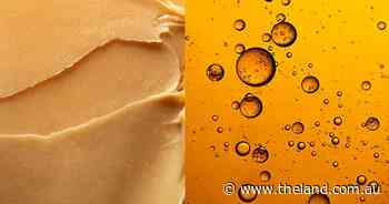 Prime times for tallow in the green economy