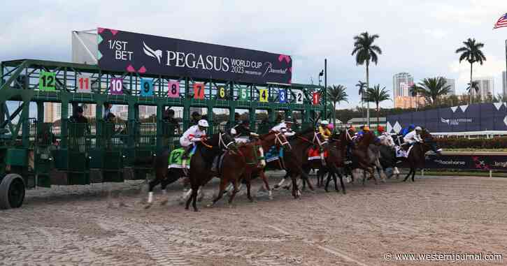 'Ridin with Biden' Horse Comes in Dead Last at Famous 2023 Pegasus World Cup