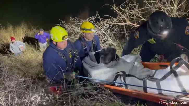 150-pound dog 'seemed thankful' after rescue by Austin firefighters