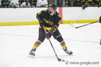 Kitchener's Gabel named MVP at PHF all-stars tournament - Kitchener.CityNews.ca