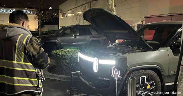 EV Owner Says He Hears 'Loud Boom' 1 Minute After Plugging in Truck - Then Error Codes Start Popping Up