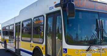 Hamilton’s labour council seeks expansion of free and subsidized transit via ‘care fare’ initiative