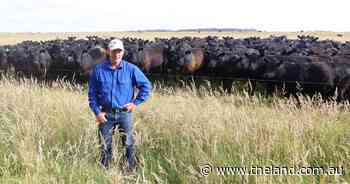 Raff family has no regrets about move from western Queensland to King Island