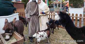 Dieren levende kerststal Tilburg reisden iedere dag op en neer naar ... - BD.nl