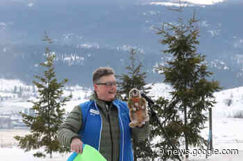 Vernon weather-predicting stuffie primed for Groundhog Day ... - Vernon Morning Star