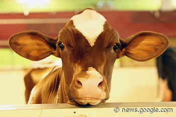 Census of Agriculture response due next week – Ohio Ag Net - Ohio's Country Journal and Ohio Ag Net