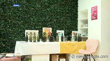 Vereniging Familiekunde Vlaanderen schrijft boek over ... - ROB-tv