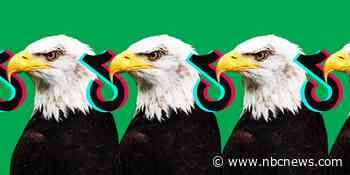 A mailman, a NASA scientist and a park ranger: Some government employees shrug off TikTok bans