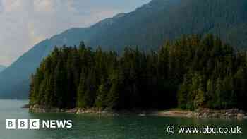 Biden restores protections to Alaska's Tongass National Forest