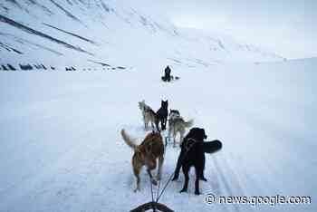 3 Touren-Highlights und wie deine Reise an den Polarkreis ... - Fairunterwegs