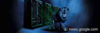 ProLion erweitert Support auf weitere IT-Plattformen - Storage-Insider