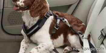 Top 5 surprising ways you could be invalidating your car insurance ... - Automotive Blog