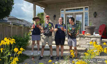 Toronto butterfly and bee 'heroes' wanted - NOW Toronto