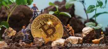 Krypto-Experte: Diese beiden Krypto-Aktien bieten deutliches Aufwärtspotenzial