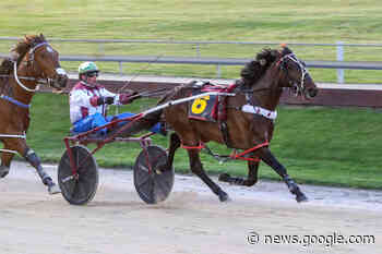 Kiwi Sydney raid starts from Saturday night - Harnesslink